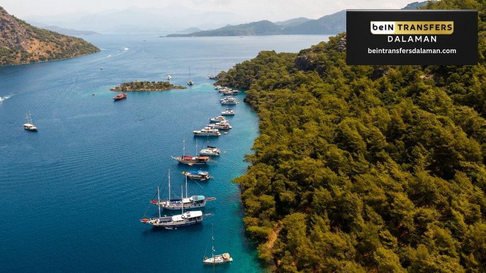 gocek transfer